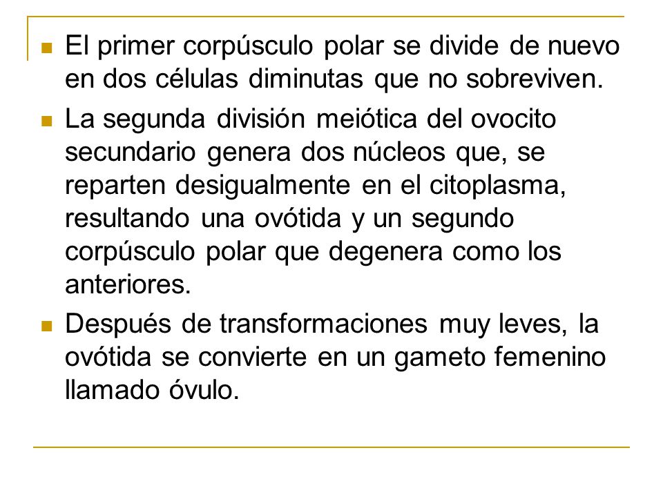 El primer corpúsculo polar se divide de nuevo en dos células diminutas que no sobreviven.