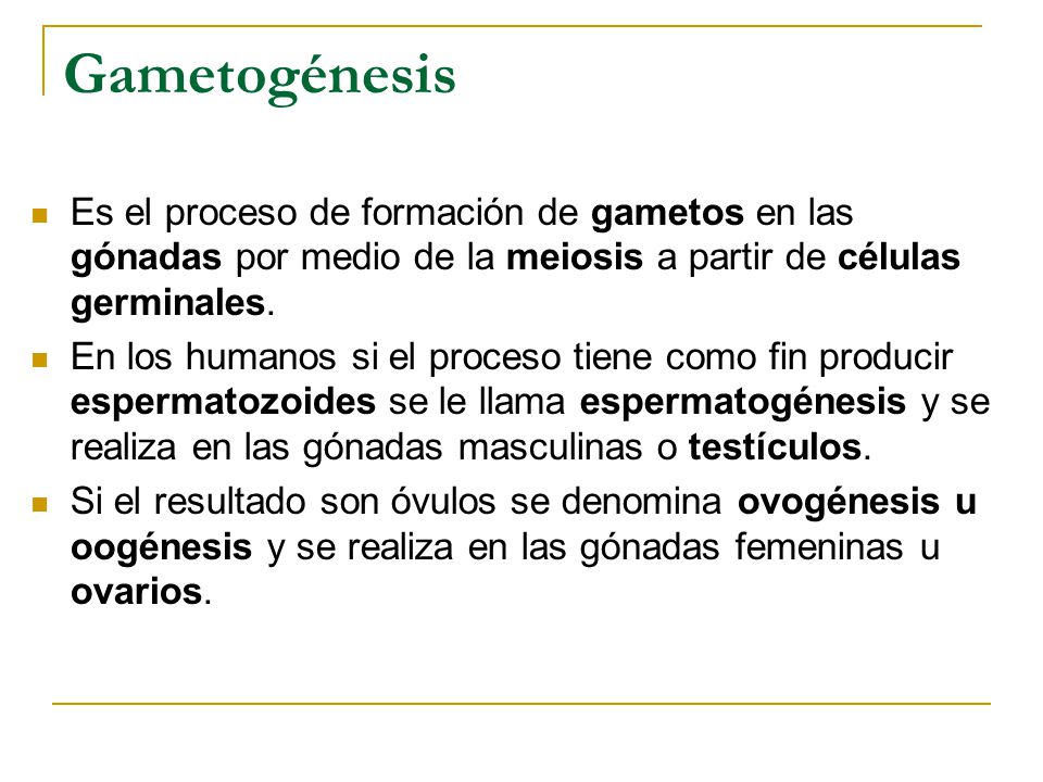Gametogénesis Es el proceso de formación de gametos en las gónadas por medio de la meiosis a partir de células germinales.