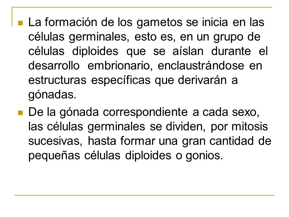 La formación de los gametos se inicia en las células germinales, esto es, en un grupo de células diploides que se aíslan durante el desarrollo embrionario, enclaustrándose en estructuras específicas que derivarán a gónadas.