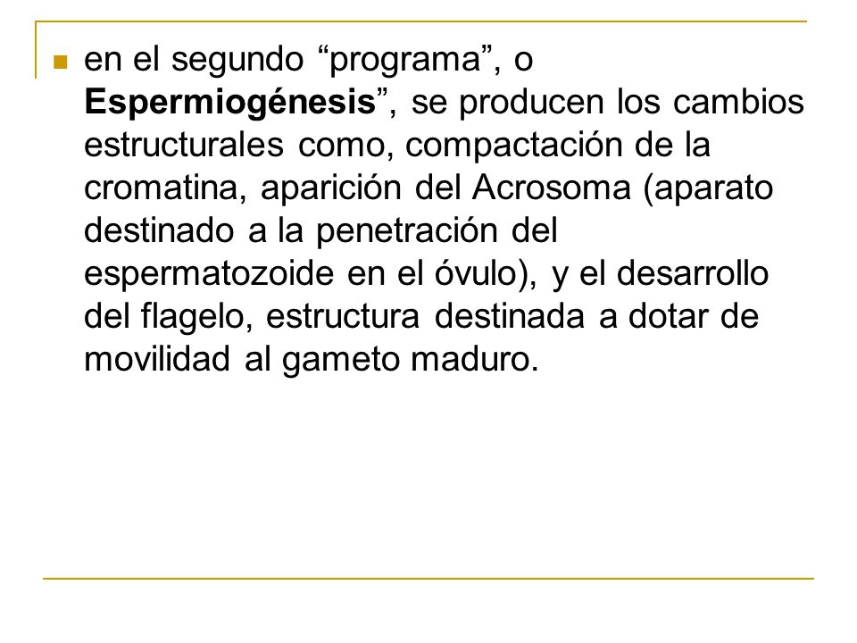 en el segundo programa , o Espermiogénesis , se producen los cambios estructurales como, compactación de la cromatina, aparición del Acrosoma (aparato destinado a la penetración del espermatozoide en el óvulo), y el desarrollo del flagelo, estructura destinada a dotar de movilidad al gameto maduro.