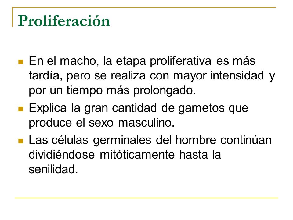 Proliferación En el macho, la etapa proliferativa es más tardía, pero se realiza con mayor intensidad y por un tiempo más prolongado.