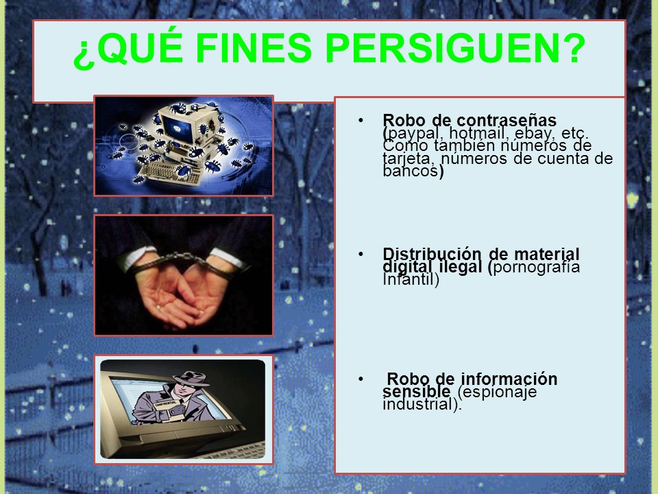 ¿QUÉ FINES PERSIGUEN Robo de contraseñas (paypal, hotmail, ebay, etc. Como también números de tarjeta, números de cuenta de bancos)