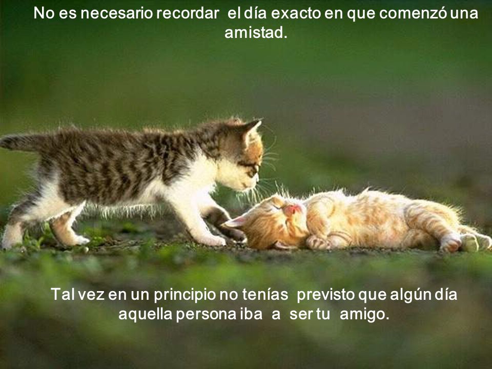 No es necesario recordar el día exacto en que comenzó una amistad.