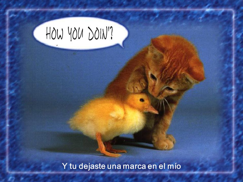 Y tu dejaste una marca en el mío