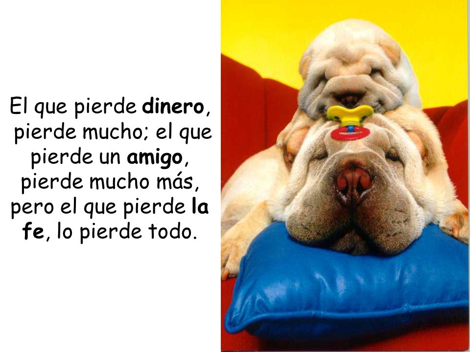 El que pierde dinero, pierde mucho; el que pierde un amigo, pierde mucho más, pero el que pierde la fe, lo pierde todo.