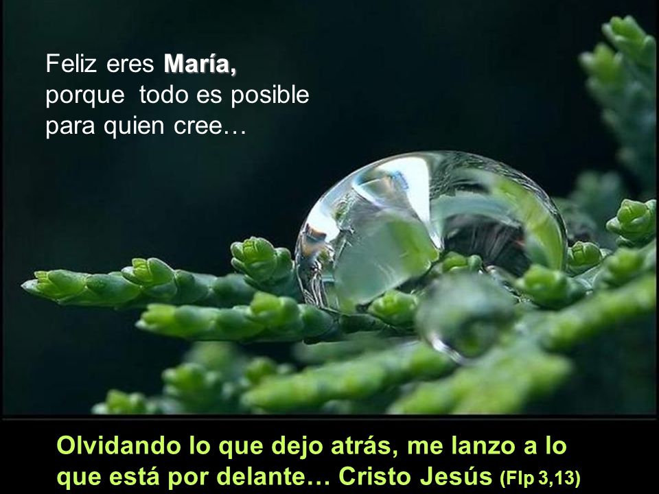 Feliz eres María, porque todo es posible para quien cree…