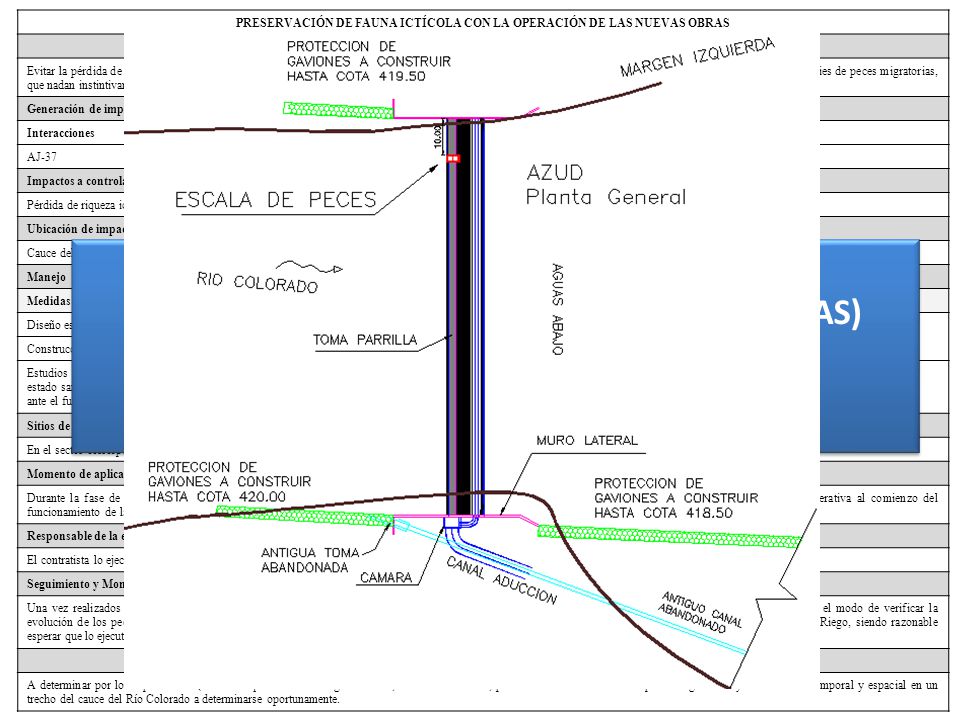 PLAN DE GESTIÓN AMBIENTAL Y SOCIAL (PGAS) UN EJEMPLO ILUSTRATIVO