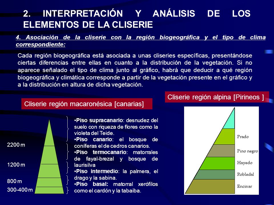 2. INTERPRETACIÓN Y ANÁLISIS DE LOS ELEMENTOS DE LA CLISERIE