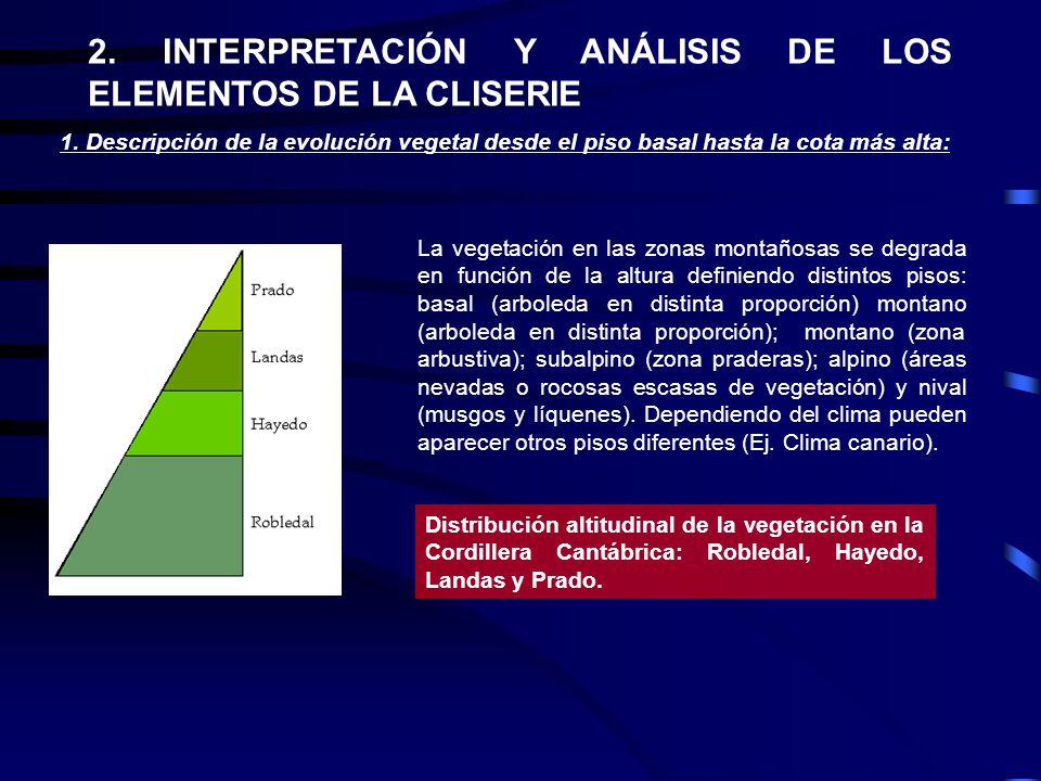 2. INTERPRETACIÓN Y ANÁLISIS DE LOS ELEMENTOS DE LA CLISERIE