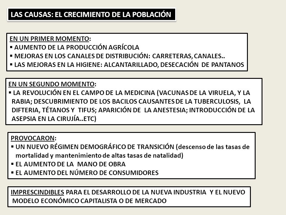 LAS CAUSAS: EL CRECIMIENTO DE LA POBLACIÓN