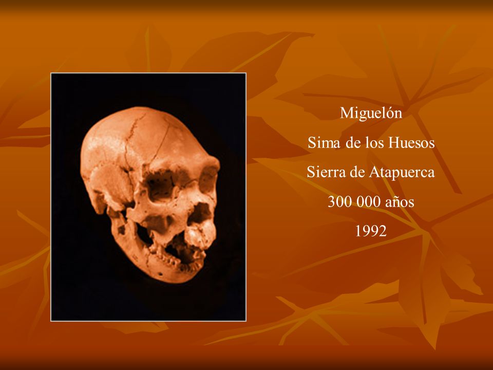 Miguelón Sima de los Huesos Sierra de Atapuerca años 1992