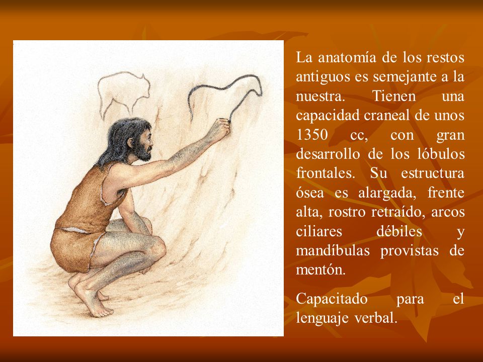 La anatomía de los restos antiguos es semejante a la nuestra