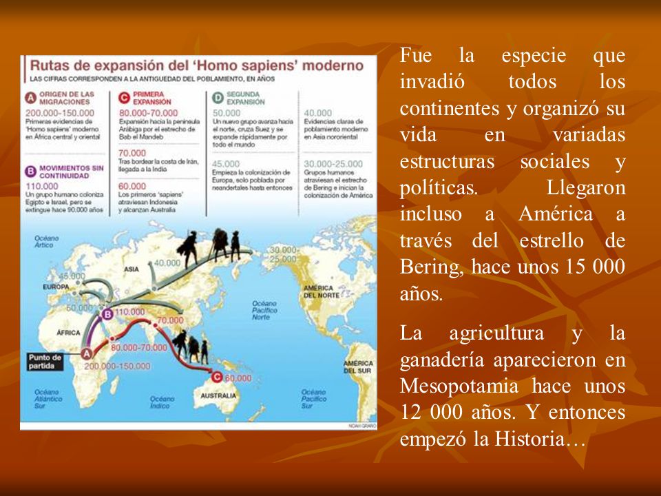 Fue la especie que invadió todos los continentes y organizó su vida en variadas estructuras sociales y políticas. Llegaron incluso a América a través del estrello de Bering, hace unos años.