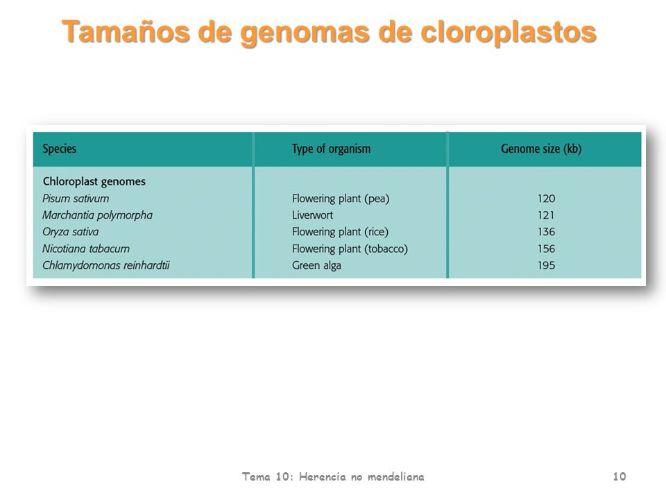 Tamaños de genomas de cloroplastos Tema 10: Herencia no mendeliana