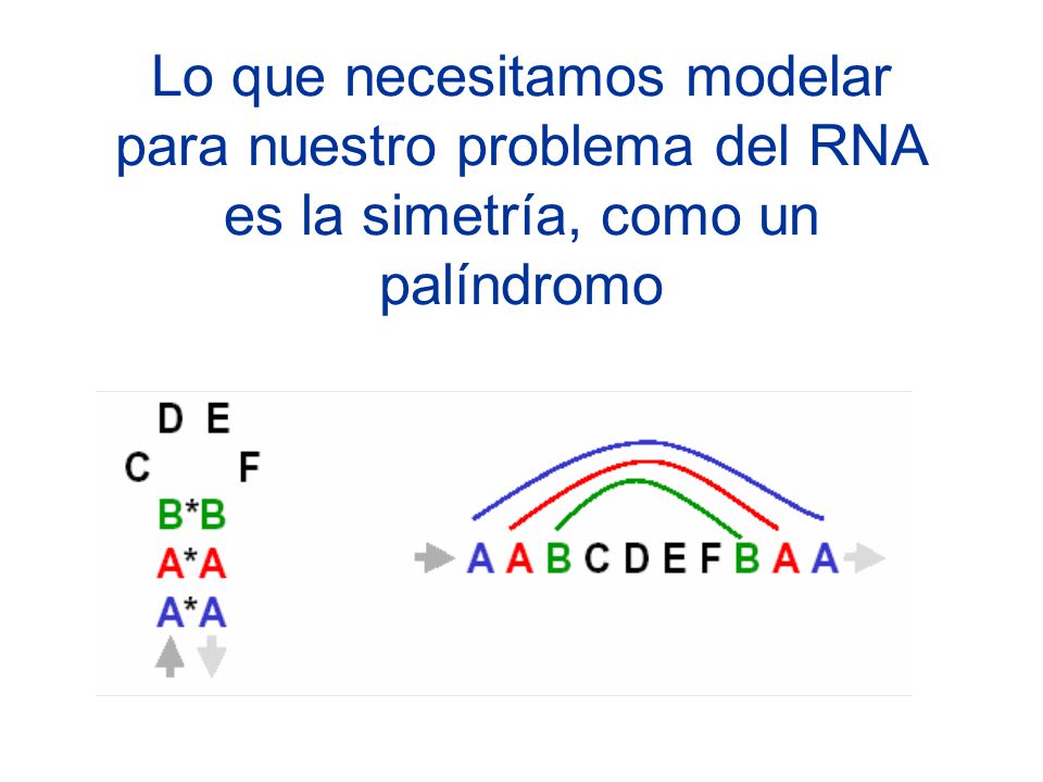 Lo que necesitamos modelar para nuestro problema del RNA es la simetría, como un palíndromo