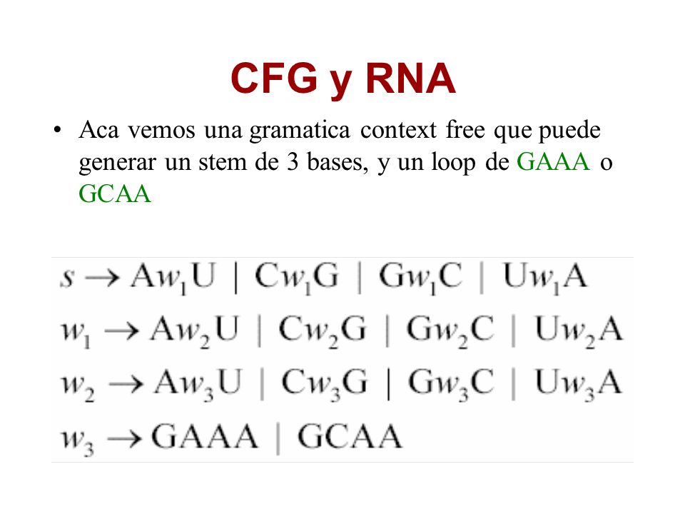 CFG y RNA Aca vemos una gramatica context free que puede generar un stem de 3 bases, y un loop de GAAA o GCAA.