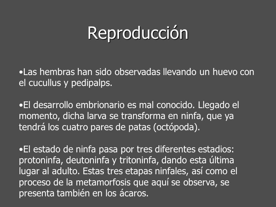 Reproducción Las hembras han sido observadas llevando un huevo con el cucullus y pedipalps.