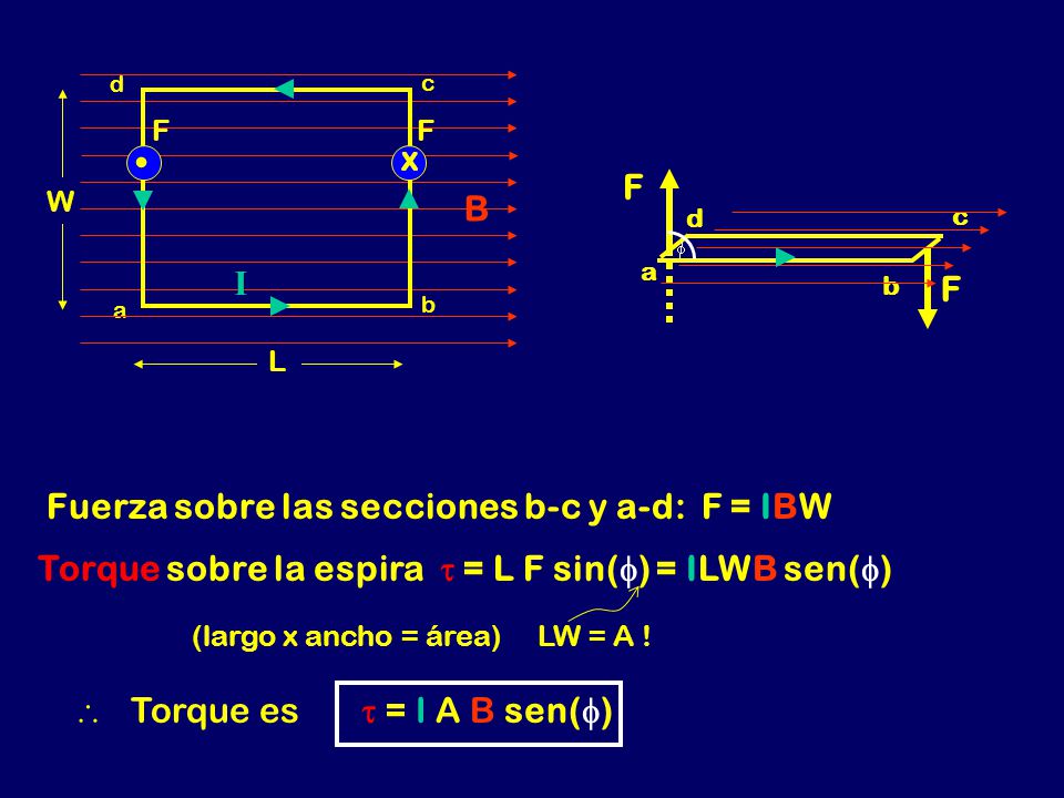 Fuerza sobre las secciones b-c y a-d: F = IBW