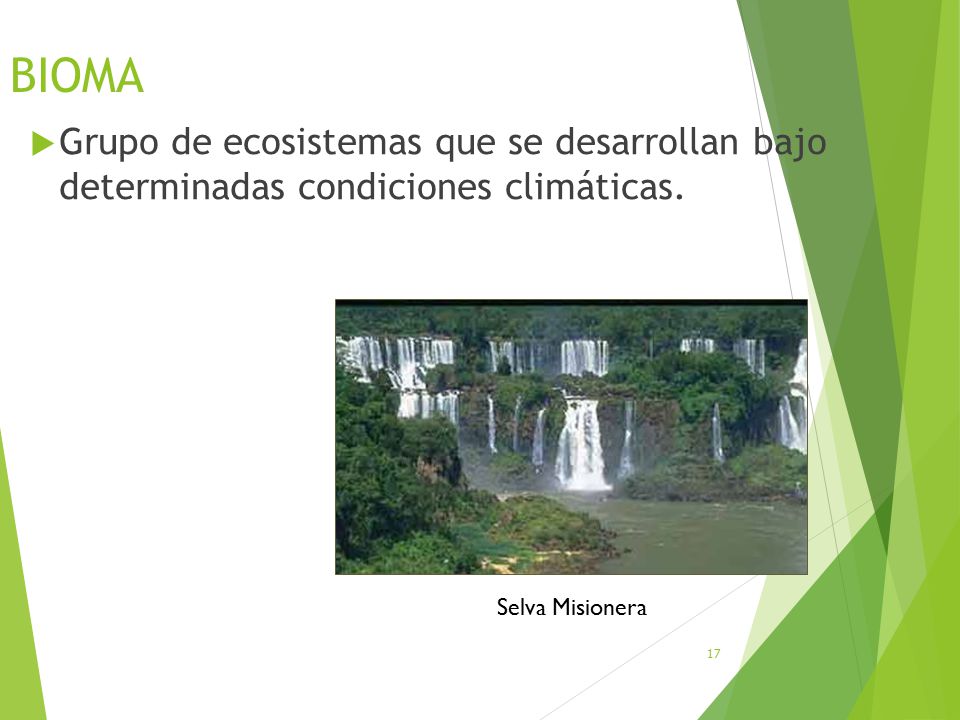 BIOMA Grupo de ecosistemas que se desarrollan bajo determinadas condiciones climáticas.