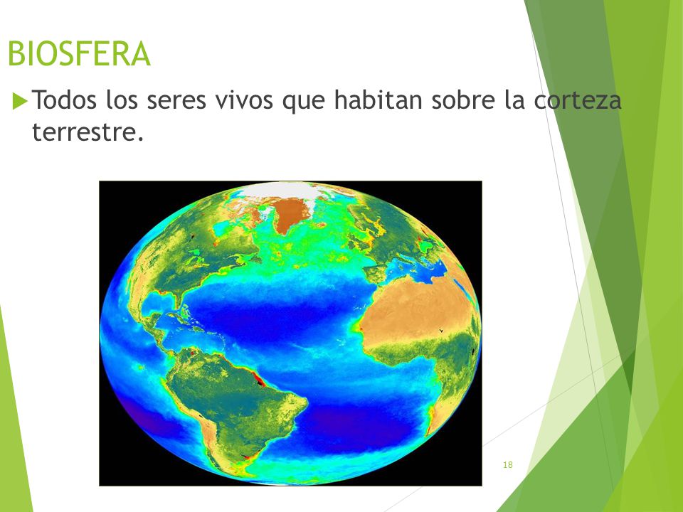 BIOSFERA Todos los seres vivos que habitan sobre la corteza terrestre.