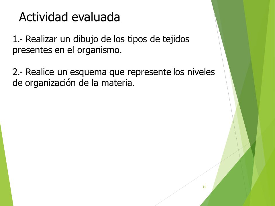 Actividad evaluada 1.- Realizar un dibujo de los tipos de tejidos presentes en el organismo.