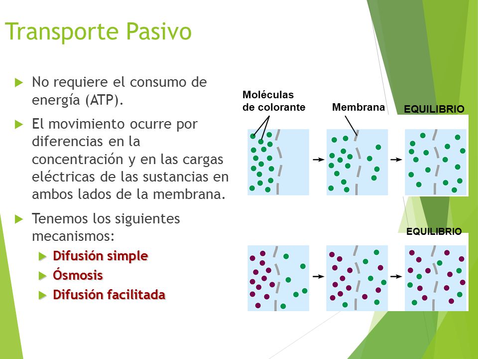 Transporte Pasivo No requiere el consumo de energía (ATP).