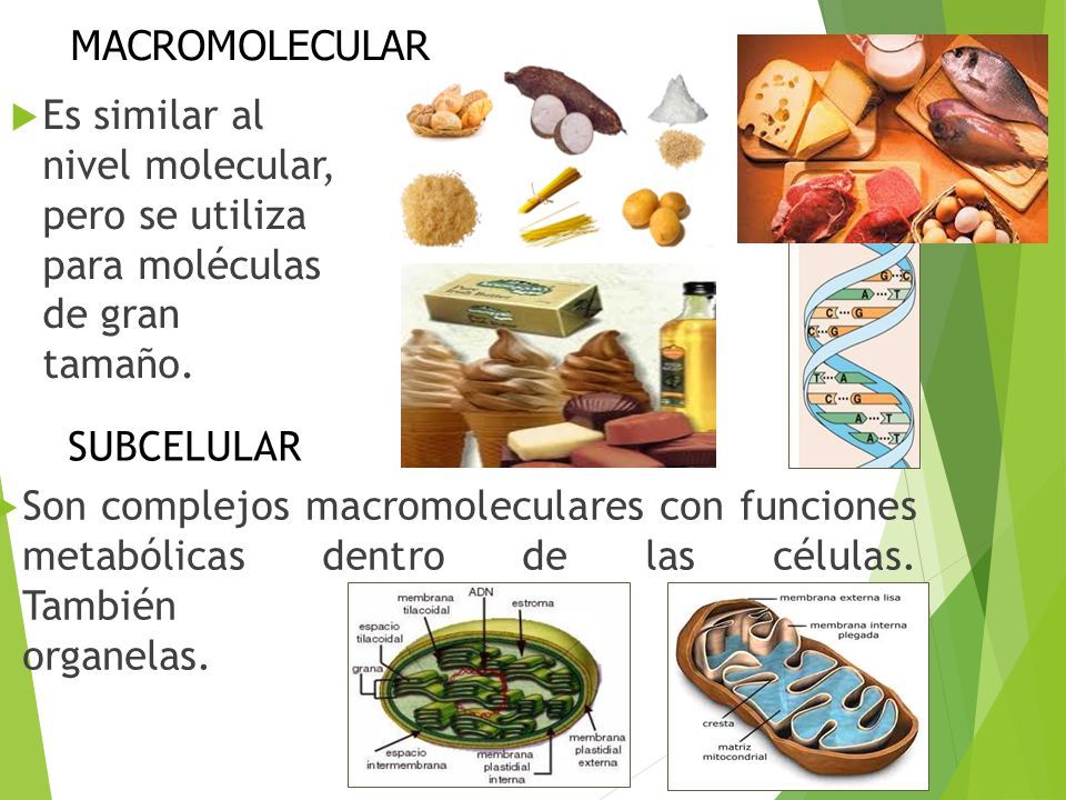 MACROMOLECULAR Es similar al nivel molecular, pero se utiliza para moléculas de gran tamaño. SUBCELULAR.