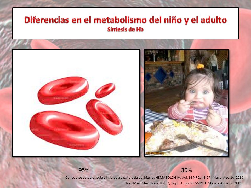 Diferencias en el metabolismo del niño y el adulto Síntesis de Hb