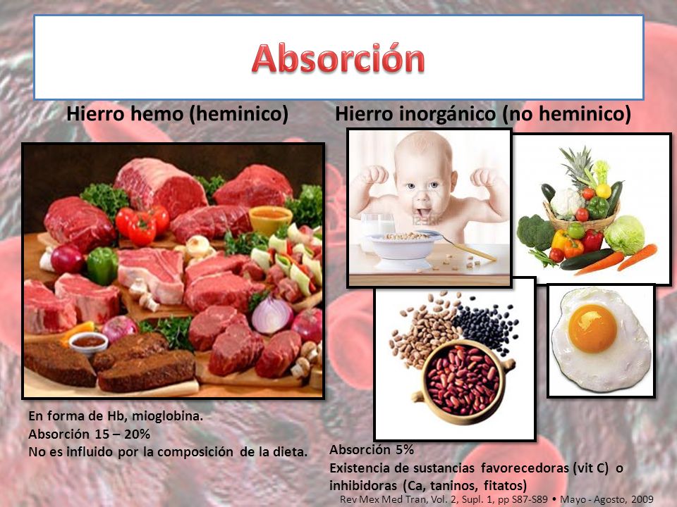 Absorción Hierro hemo (heminico) Hierro inorgánico (no heminico)