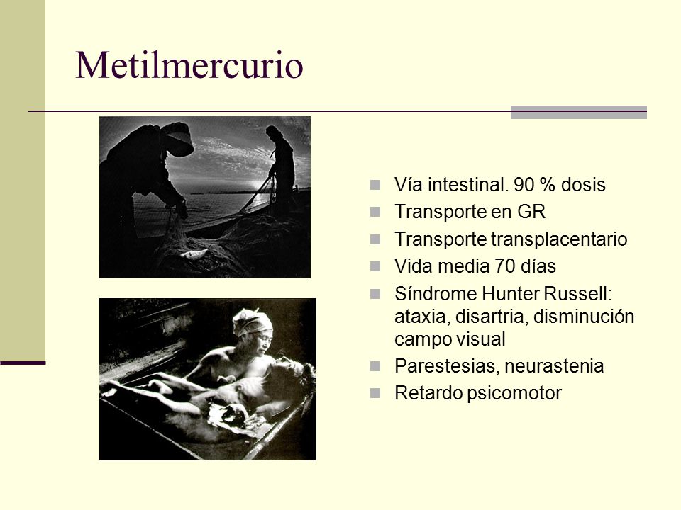 Metilmercurio Vía intestinal. 90 % dosis Transporte en GR