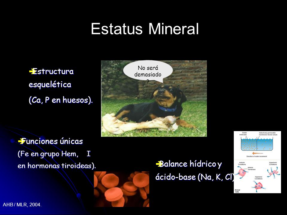 Estatus Mineral Estructura esquelética (Ca, P en huesos).