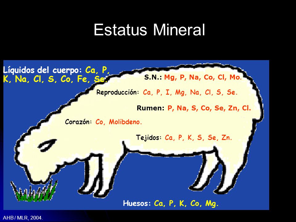 Estatus Mineral Líquidos del cuerpo: Ca, P, K, Na, Cl, S, Co, Fe, Se.