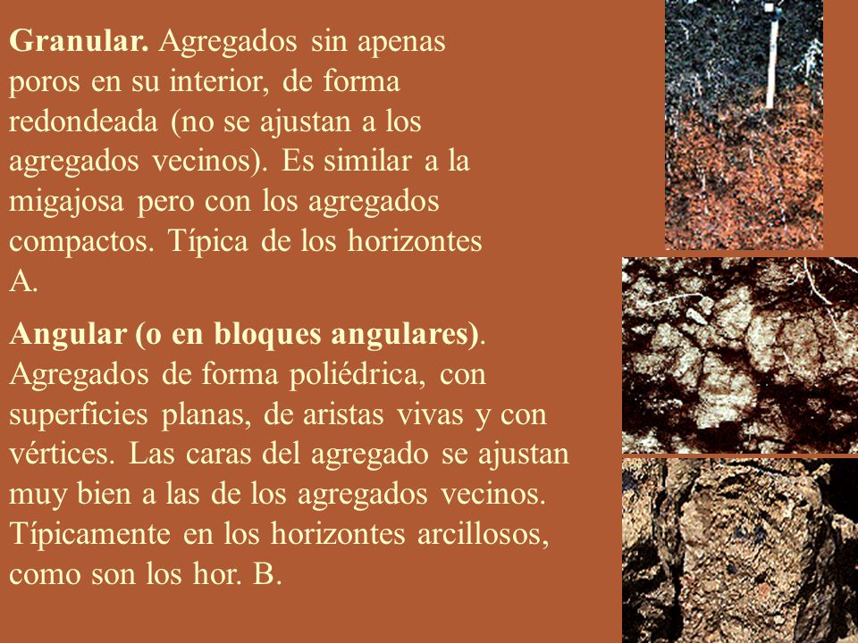 Granular. Agregados sin apenas poros en su interior, de forma redondeada (no se ajustan a los agregados vecinos). Es similar a la migajosa pero con los agregados compactos. Típica de los horizontes A.