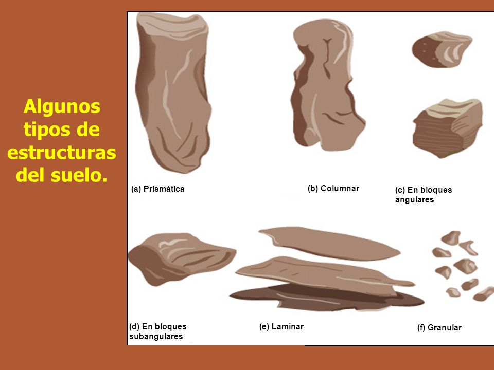 Algunos tipos de estructuras del suelo.