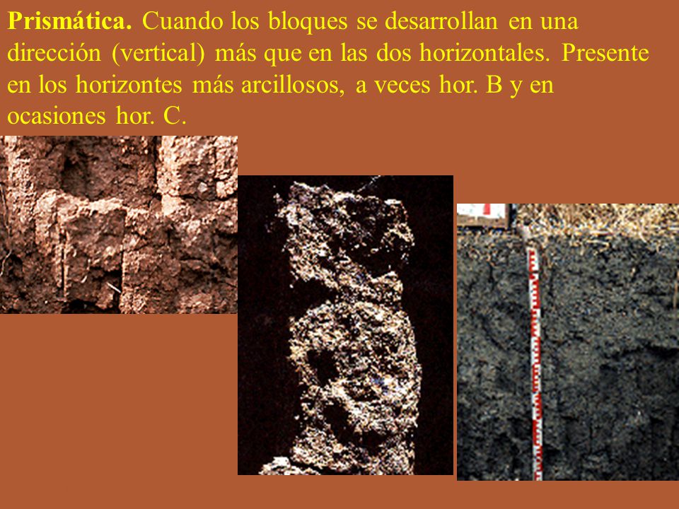Prismática. Cuando los bloques se desarrollan en una dirección (vertical) más que en las dos horizontales. Presente en los horizontes más arcillosos, a veces hor. B y en ocasiones hor. C.