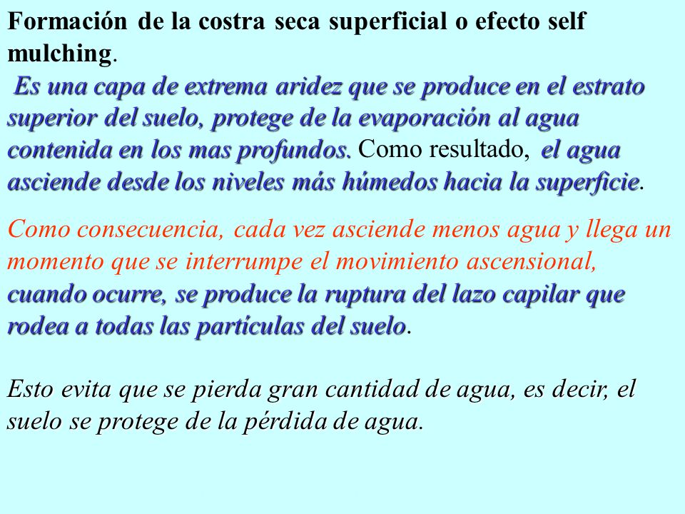 Formación de la costra seca superficial o efecto self mulching.
