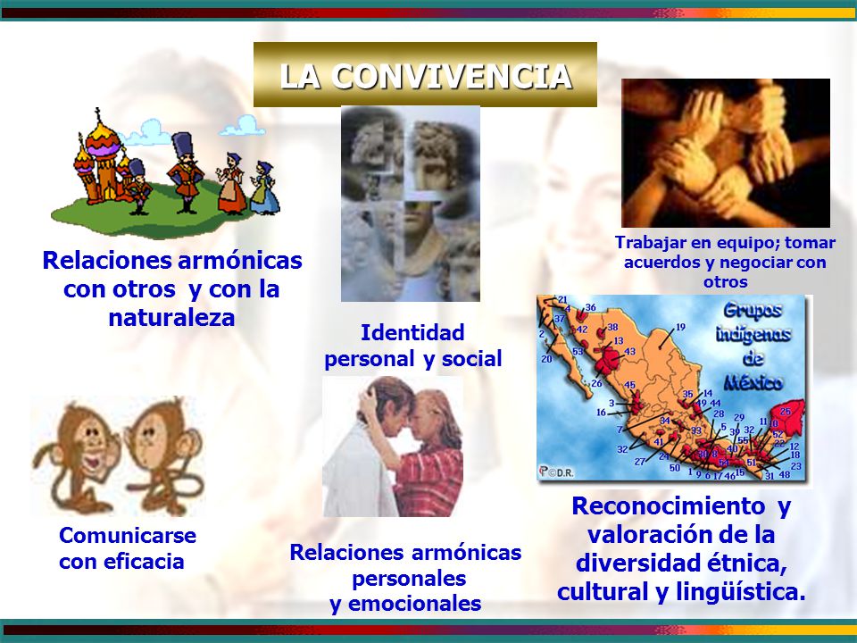 LA CONVIVENCIA Relaciones armónicas con otros y con la naturaleza