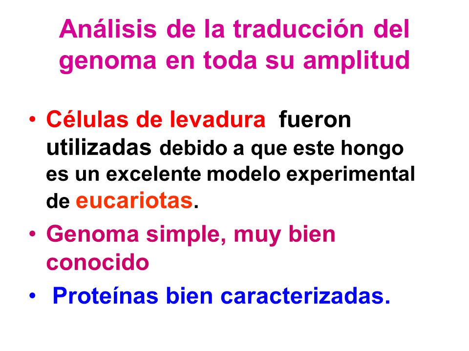 Análisis de la traducción del genoma en toda su amplitud