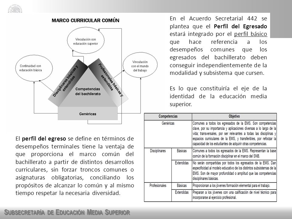 En el Acuerdo Secretarial 442 se plantea que el Perfil del Egresado estará integrado por el perfil básico que hace referencia a los desempeños comunes que los egresados del bachillerato deben conseguir independientemente de la modalidad y subsistema que cursen.