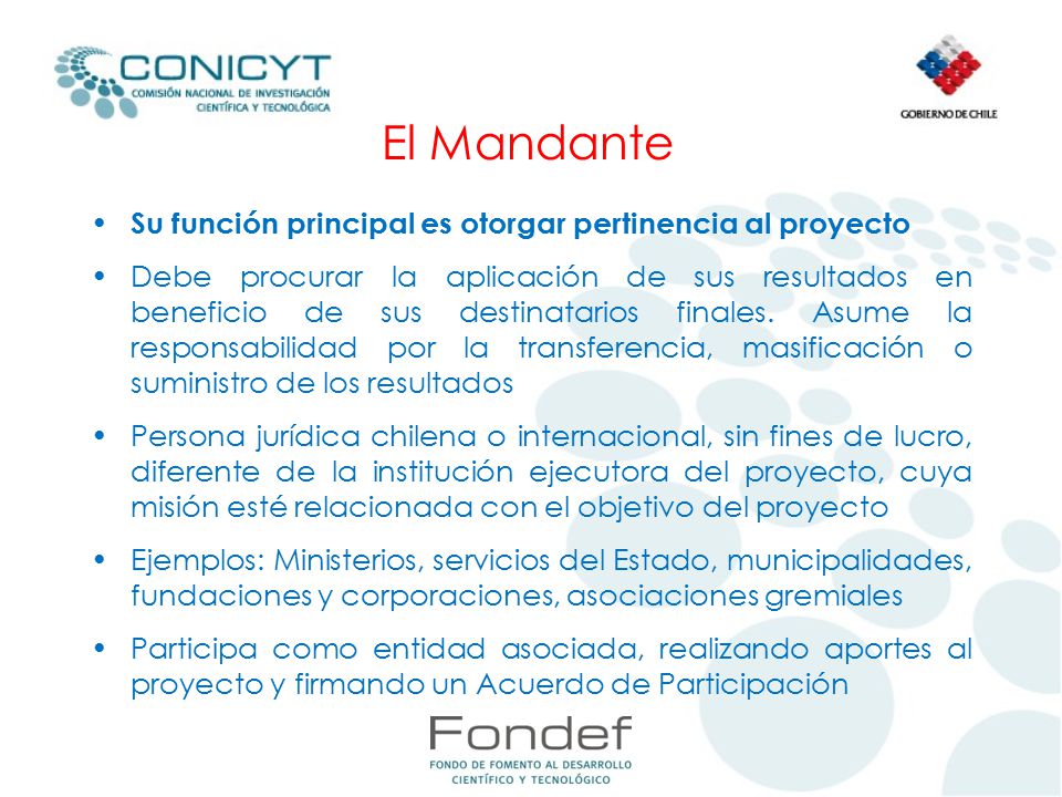 El Mandante Su función principal es otorgar pertinencia al proyecto