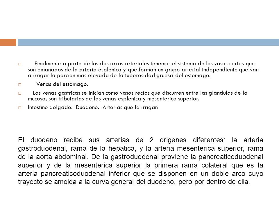 Finalmente a parte de los dos arcos arteriales tenemos el sistema de los vasos cortos que son emanados de la arteria esplenica y que forman un grupo arterial independiente que van a irrigar la porcion mas elevada de la tuberosidad gruesa del estomago.