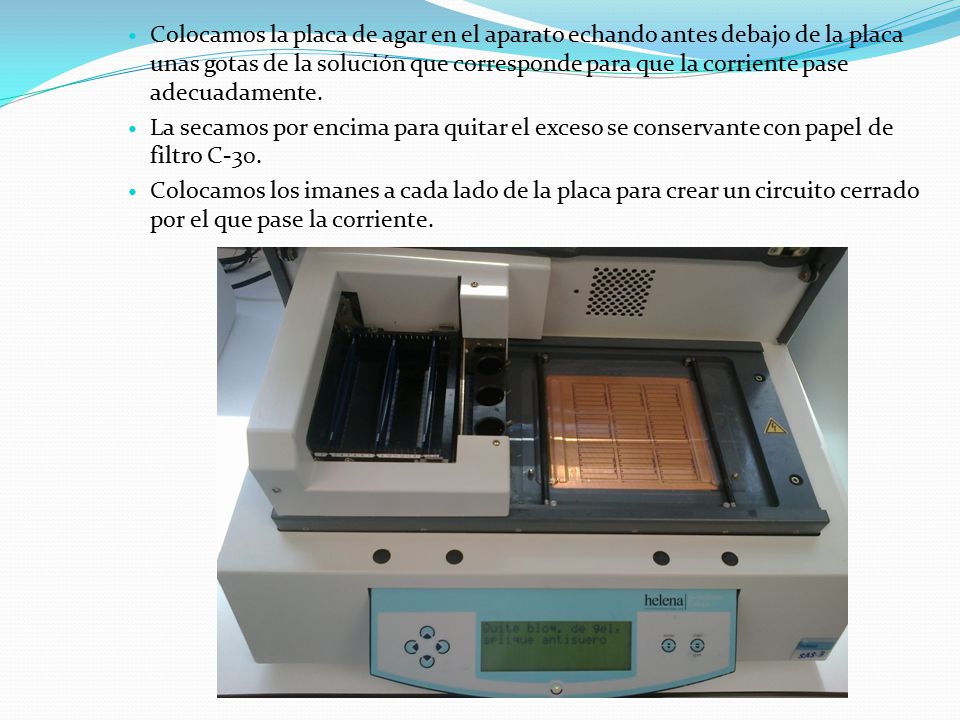 Colocamos la placa de agar en el aparato echando antes debajo de la placa unas gotas de la solución que corresponde para que la corriente pase adecuadamente.