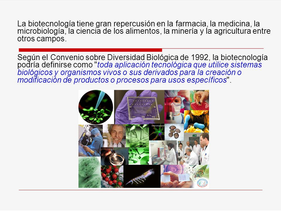 La biotecnología tiene gran repercusión en la farmacia, la medicina, la microbiología, la ciencia de los alimentos, la minería y la agricultura entre otros campos.