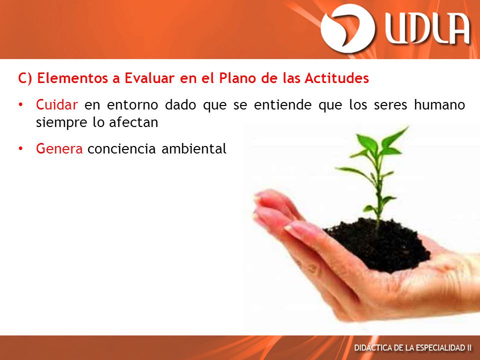 C) Elementos a Evaluar en el Plano de las Actitudes