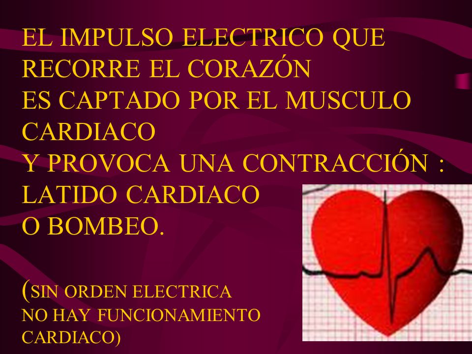 EL IMPULSO ELECTRICO QUE RECORRE EL CORAZÓN ES CAPTADO POR EL MUSCULO CARDIACO Y PROVOCA UNA CONTRACCIÓN : LATIDO CARDIACO O BOMBEO.