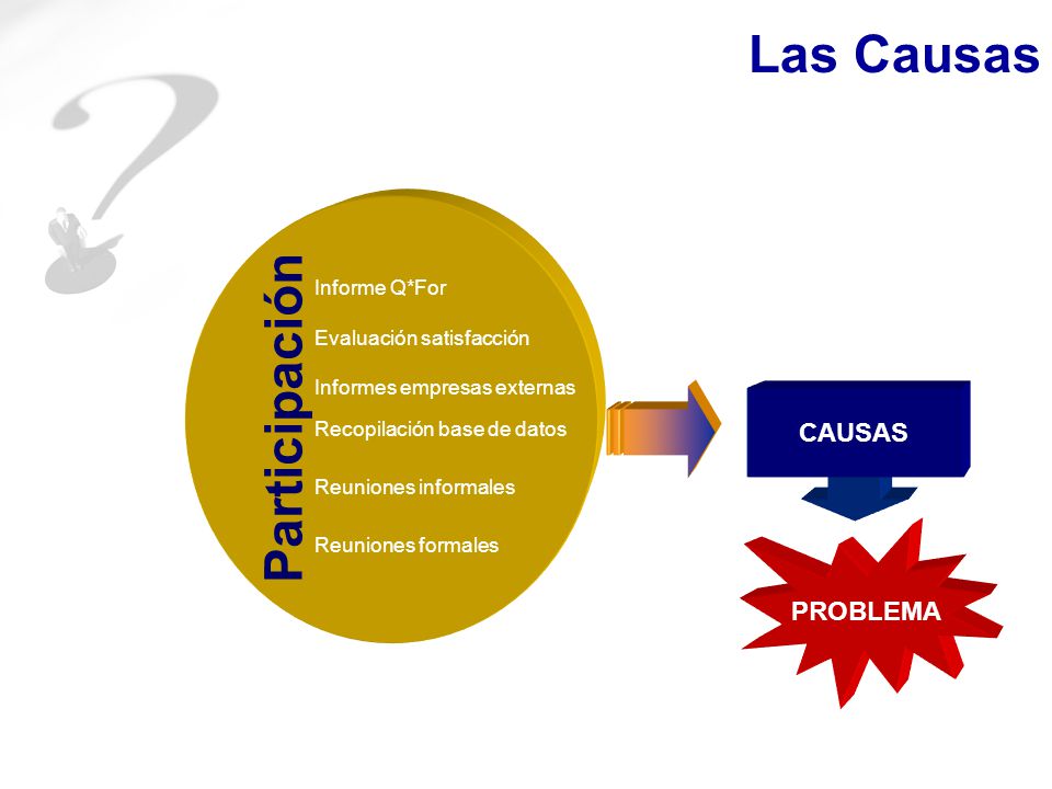 Las Causas Participación CAUSAS CAUSAS PROBLEMA Informe Q*For