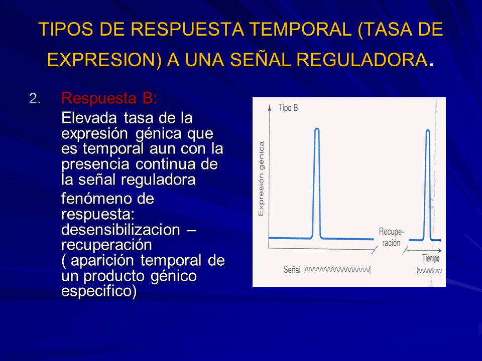 TIPOS DE RESPUESTA TEMPORAL (TASA DE EXPRESION) A UNA SEÑAL REGULADORA.