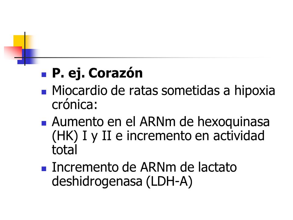 P. ej. Corazón Miocardio de ratas sometidas a hipoxia crónica: Aumento en el ARNm de hexoquinasa (HK) I y II e incremento en actividad total.