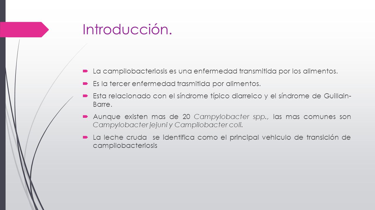 Introducción. La campilobacteriosis es una enfermedad transmitida por los alimentos. Es la tercer enfermedad trasmitida por alimentos.