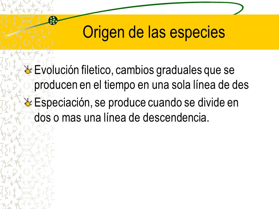 Origen de las especies Evolución filetico, cambios graduales que se producen en el tiempo en una sola línea de des.